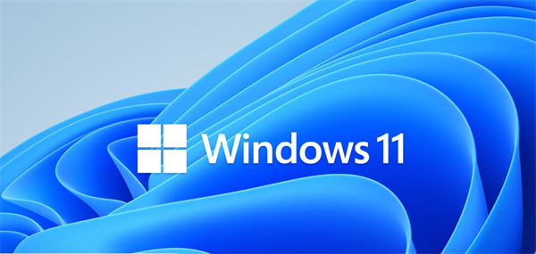 windows11家庭版和专业版哪个好[windows11专业版激活密钥]